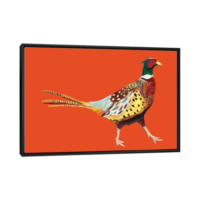 iCanvas "Pheasant on Orange" by Alice Straker Framed Canvas Print - Black - 26x40