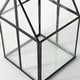 preview thumbnail 8 of 18, Sikes (Small) 6L x 6W x 10H Glass Terrarium