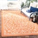 SAFAVIEH Courtyard Clarine Indoor/ Outdoor Waterproof Patio Backyard Rug - 2'7" x 5' - Terracotta/Natural