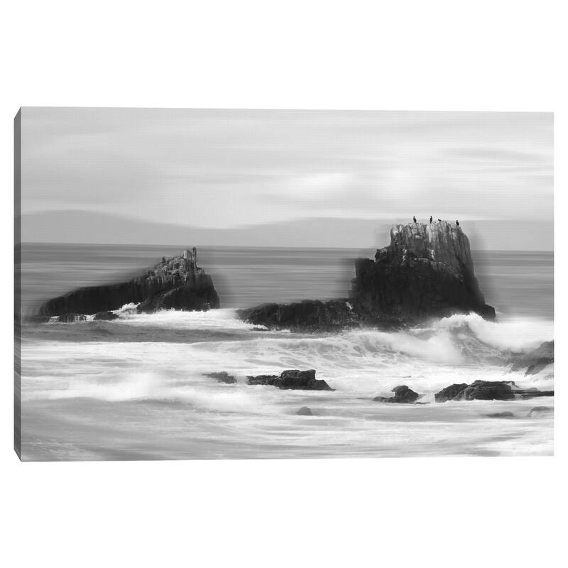 Bird Rock by Mark Timothy Canvas Art Print