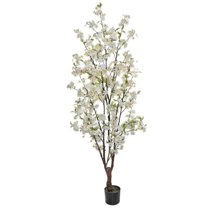 Potted Cherry Blossom Tree 5.5'