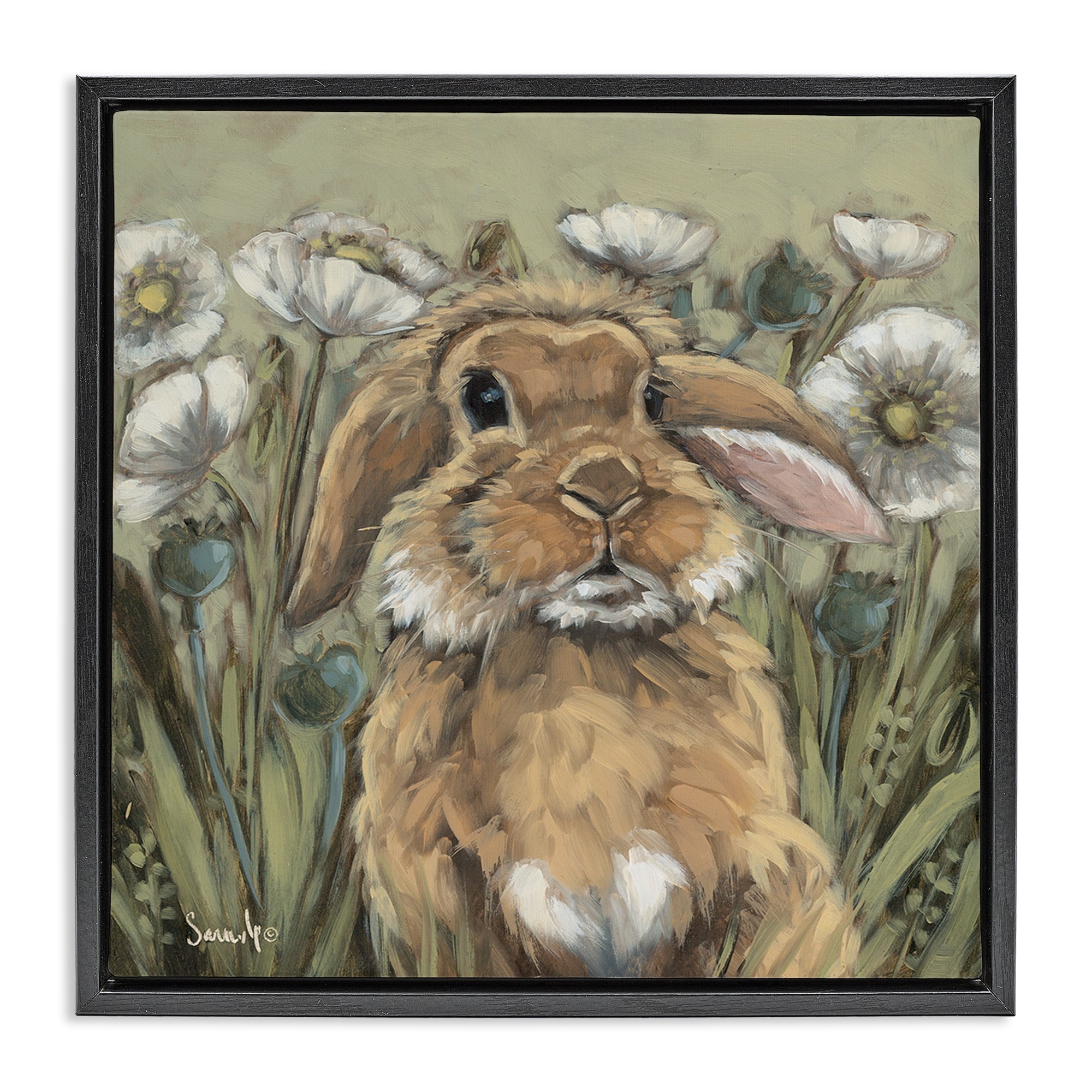 Stupell Rabbit in Poppy Garden Framed Floater Canvas Wall Art Design By Sara G. Designs