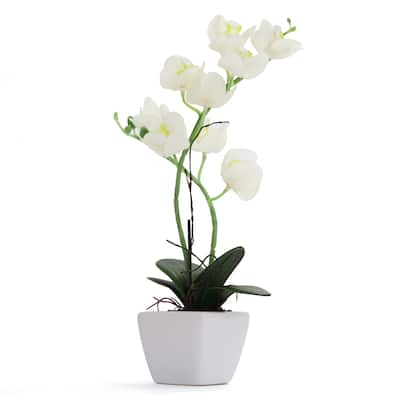 White Artificial Orchid