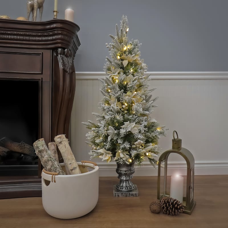 National Tree Company 4 ft. Frosted Colonial Fir Entrance Tree with Warm White LED Lights - 4 Foot