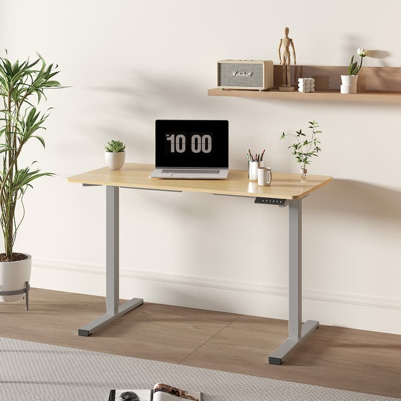 Electric Adjustable Standing Desk, 48x24 Home Office Workstation - Natural+Grey