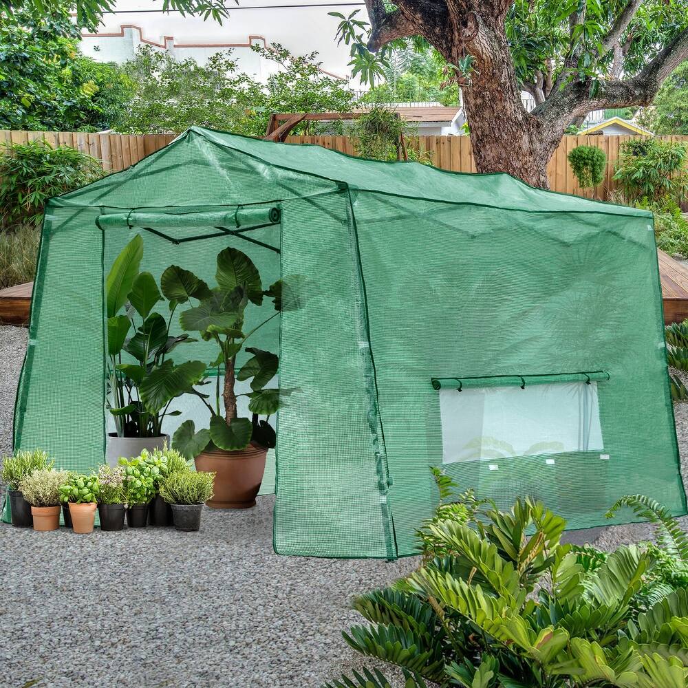 Cozywor Outdoor Green Pop-up Walk-in Greenhouse