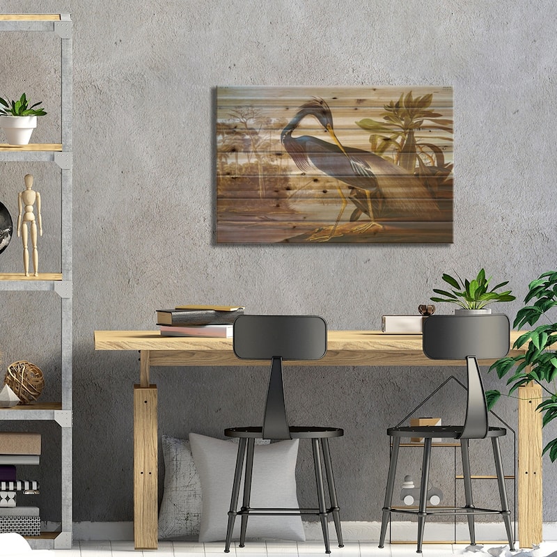 Louisiana Heron From "Birds of America" Print On Wood by John James Audubon - Multi-Color