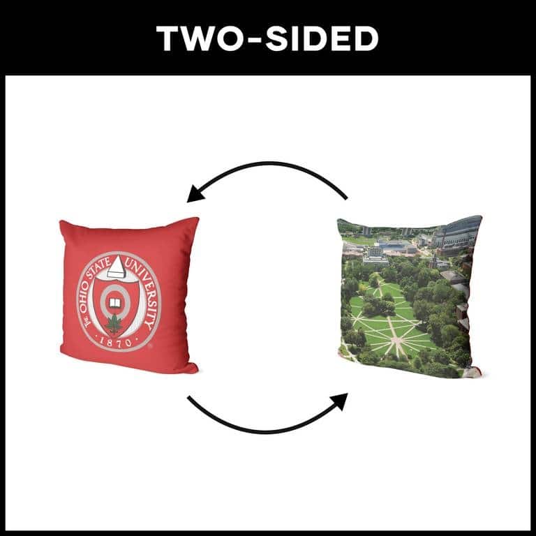 NCAA Campus Crawl 18 Inch Throw Pillow