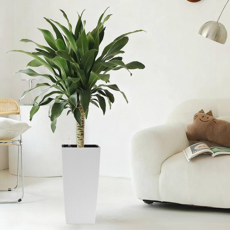 Square Planter Pack of 2, Faux Rattan Flower Pot with Automatic Watering System