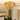 3 Light Mid-Century Modern Gold Tier Crystal Flush Mount Light