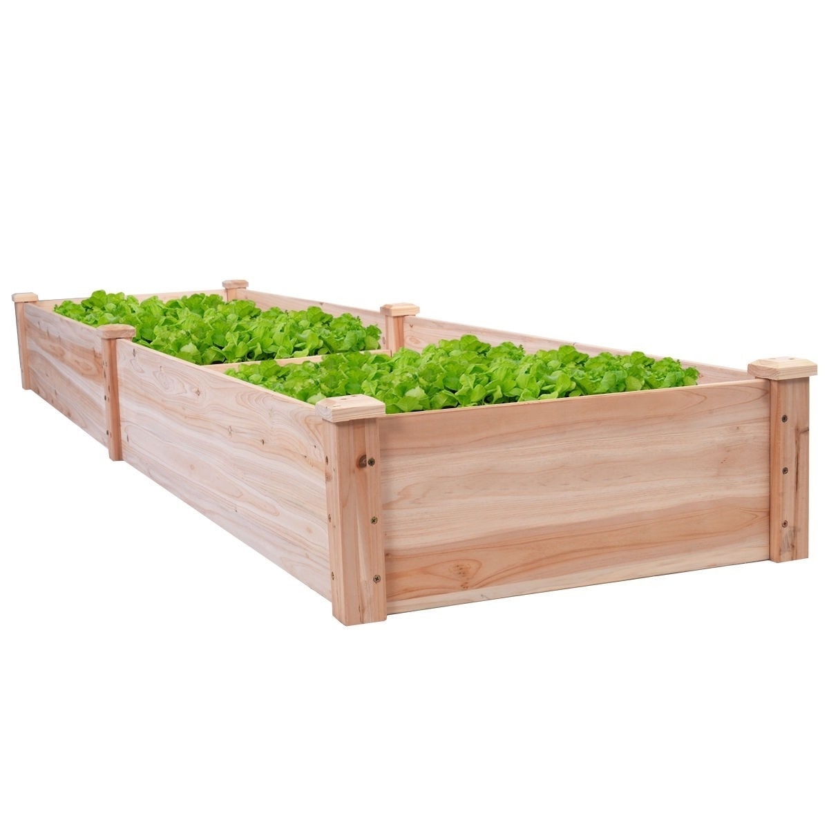 Solid Wood 8 Ft X 2 Raised Garden Bed Planter 8 Ft X 2 Raised Garden Bed Planter