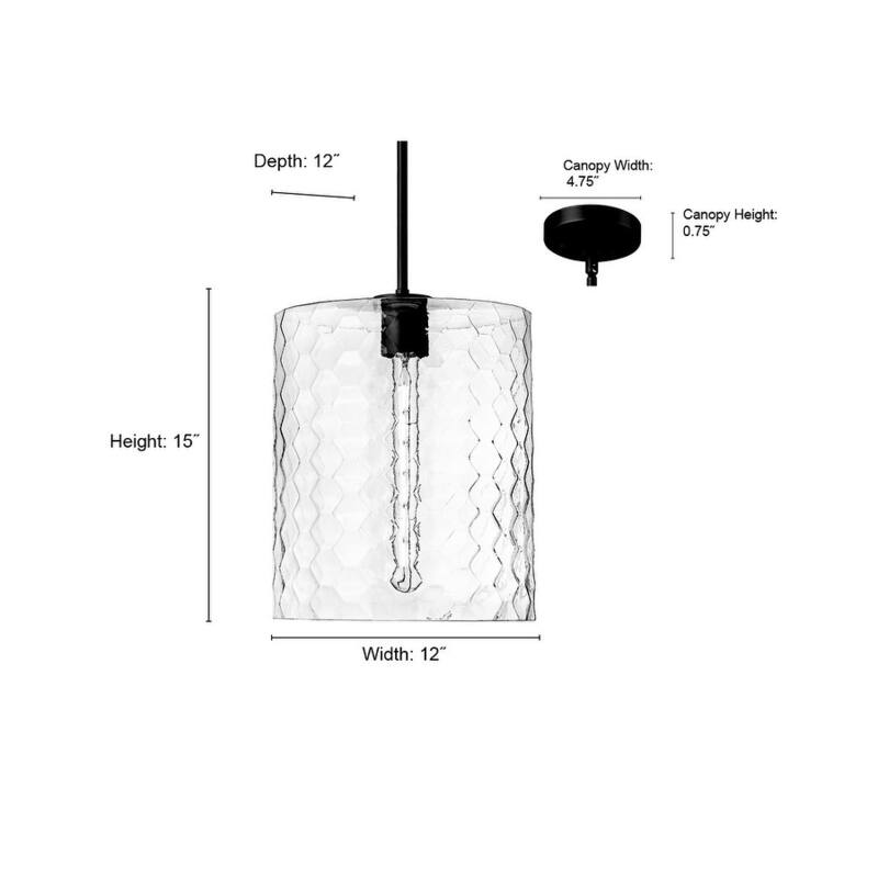 Millennium Lighting 9221 Ashli 12" Wide Pendant