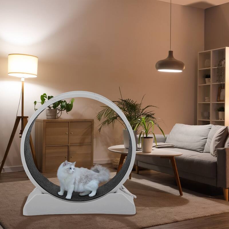 Gray PP Material Round Cat Treadmill With Carpet