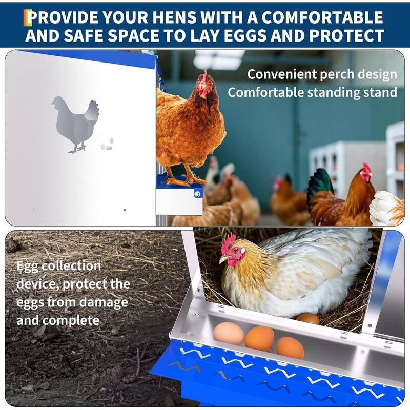 6 Compartment Metal Chicken Nesting Box, Laying Box for Hens Ducks Rabbits, Blue