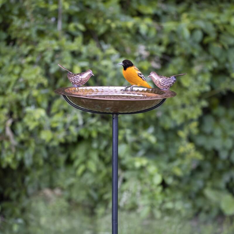 Pure Copper Bird Bath, Featuring Two Copper Birds, and a Multipronged Garden Pole By Good Directions