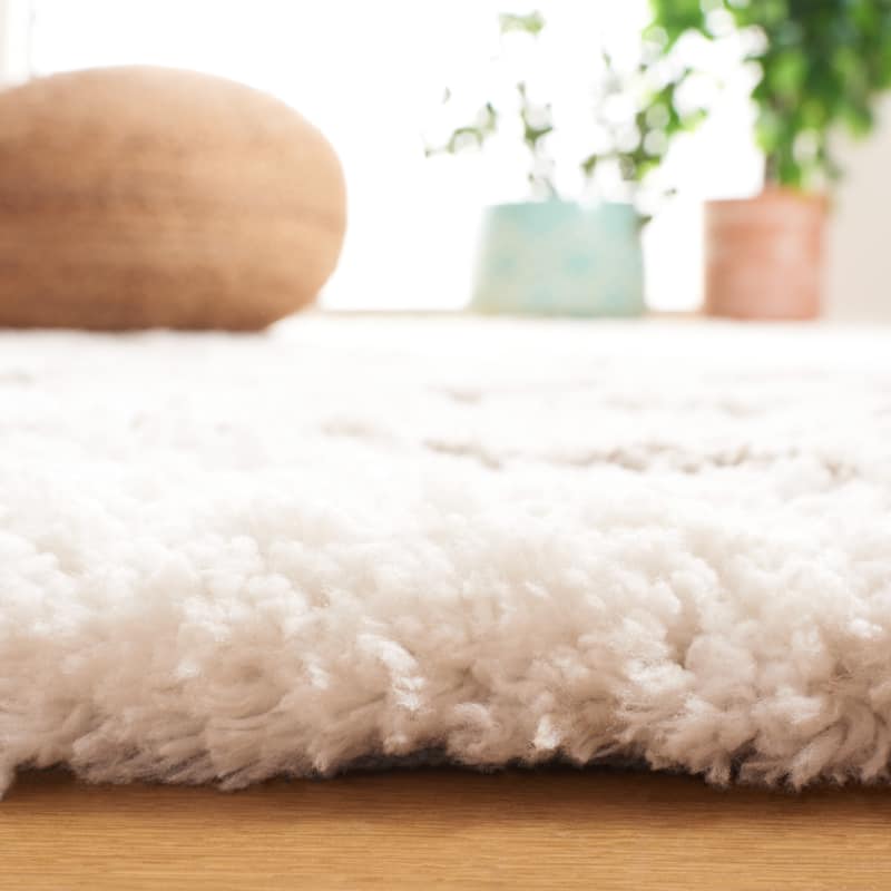 SAFAVIEH Handmade Toronto Shag Shaniqua Polyester Rug