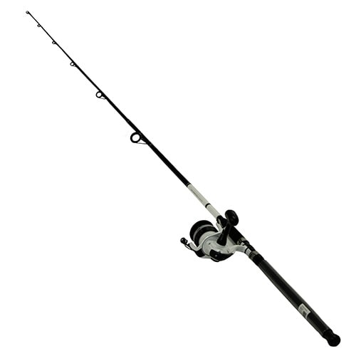 Daiwa DWB50-B//F902M D-Wave Saltwater Spinning Rod//Reel Fishing Combo