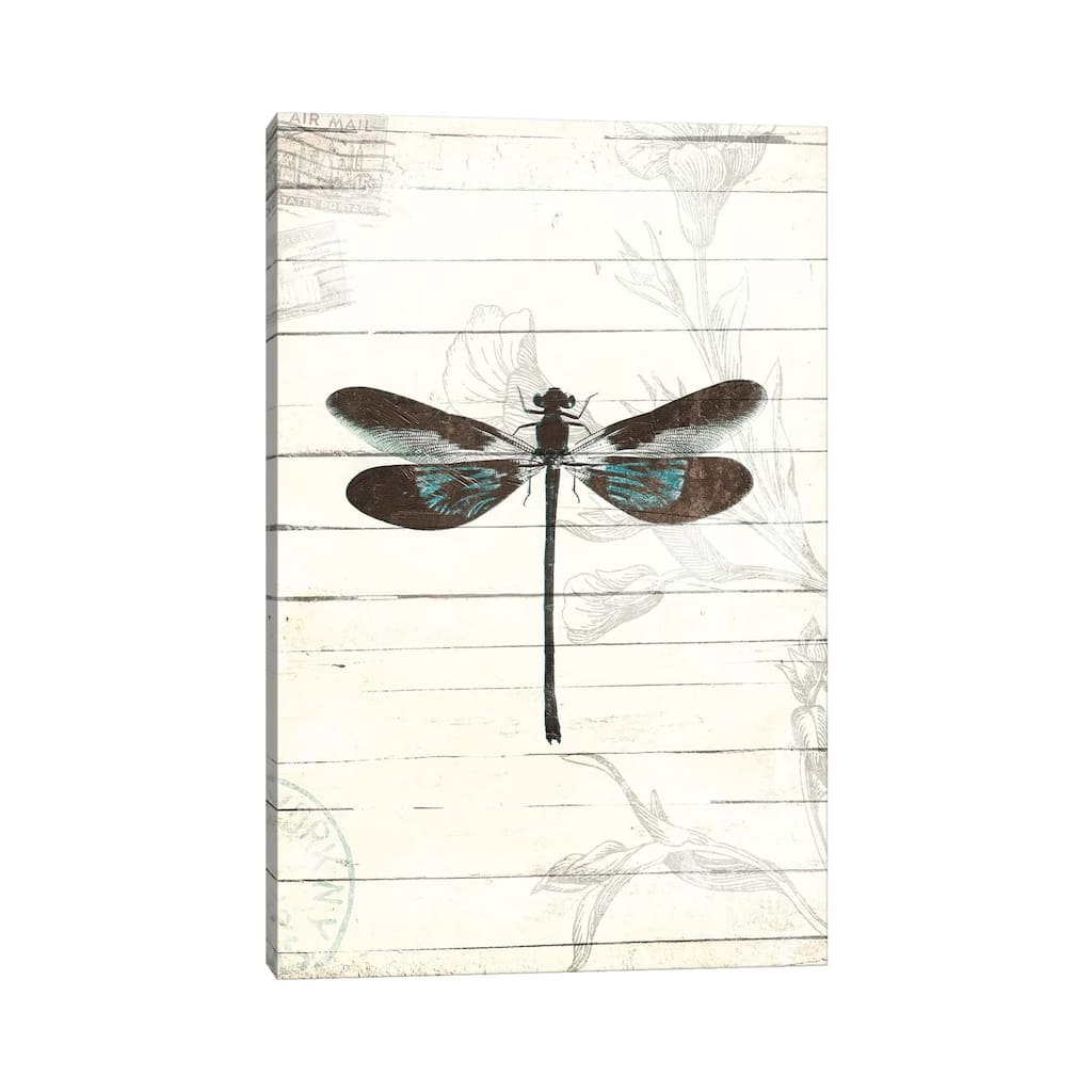 iCanvas "Dragonfly Look II" by Mlli Villa Canvas Print