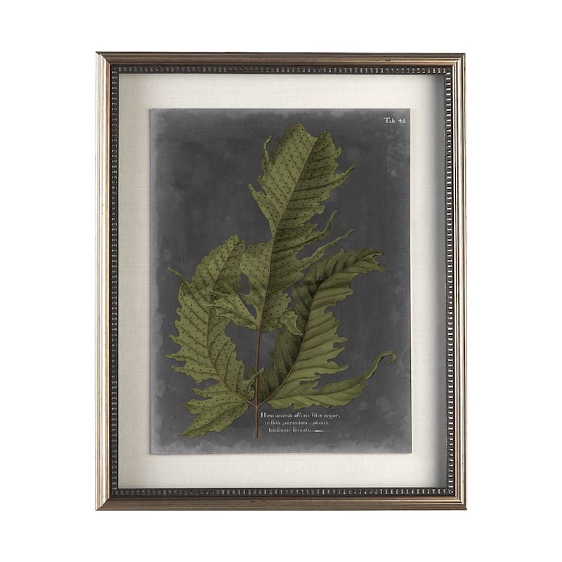 Foliage Dramatique I Framed Art Print