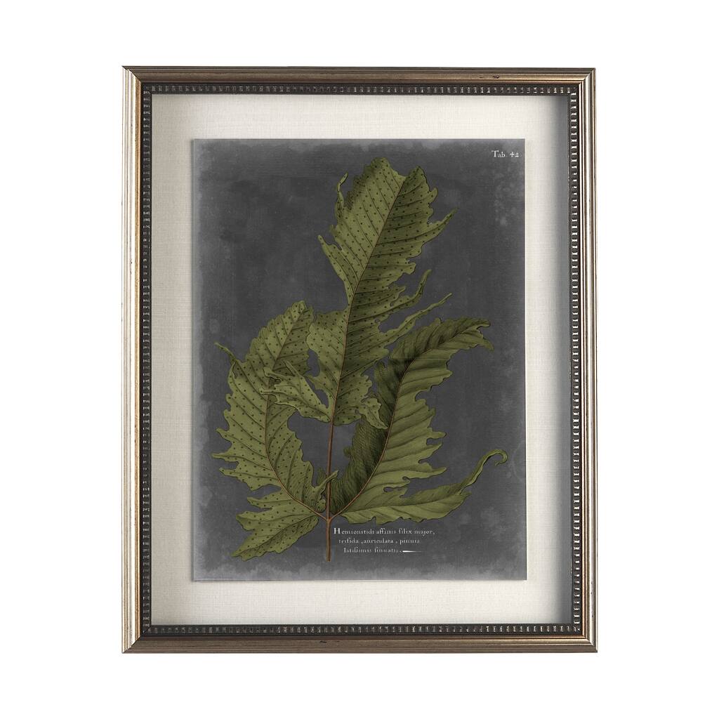 Foliage Dramatique I Framed Art Print