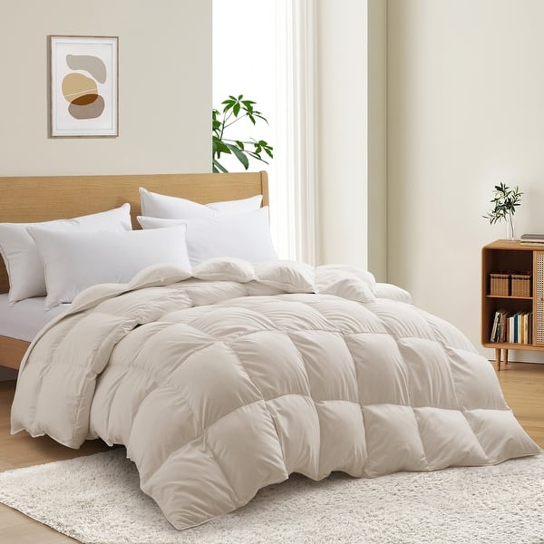 Extra Warmth Winter Comforter Goose Down Feather Duvet Insert - Full - Queen - Off-White