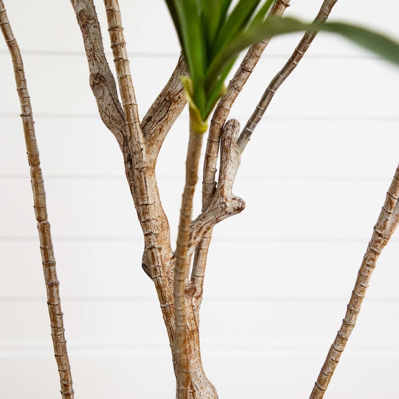 Artificial Dracaena Potted Tree - 6' - Green