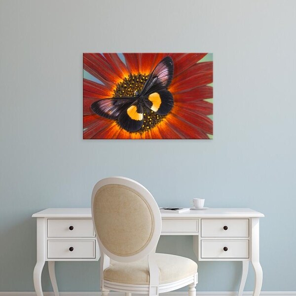 Easy Art Prints Darrell Gulin's 'Unknown' Premium Canvas Art
