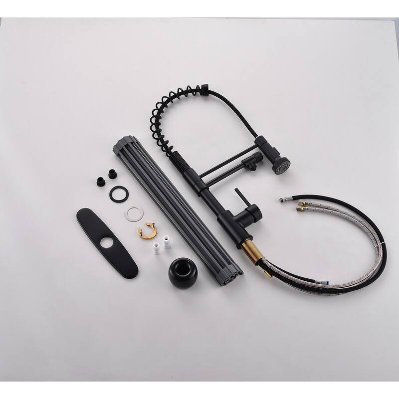 Black Pure Water Kitchen Faucet with Drain Stand