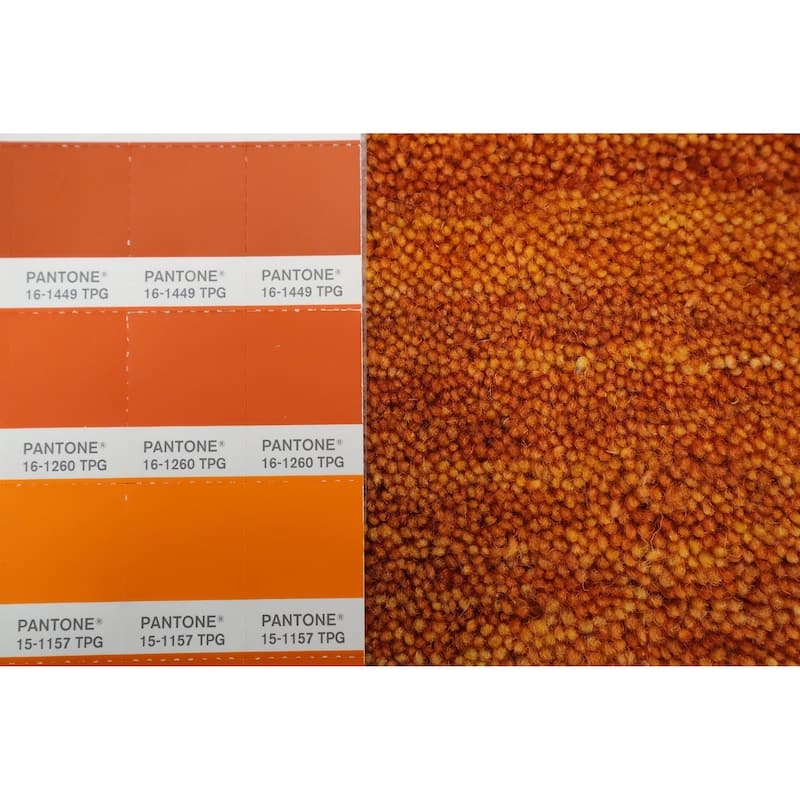 Hand Knotted Oriental 100% Wool Carpet Tribal Animal Pictorial Oranges & Rust Gabbeh Area Rug - 8' 0'' X 7' 11''