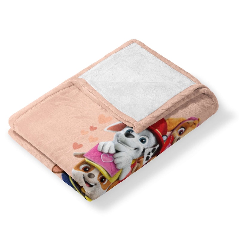 Nickelodeon Paw Patrol Friends For Life Silk Touch Throw Blanket