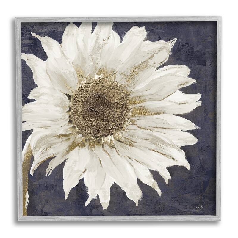 Stupell Modern Distressed Daisy Framed Giclee Texturized Wall Art, Design By Sophie 6 - 12 x 12 - Grey