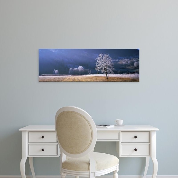 Easy Art Prints Panoramic Images's 'Trees With Frost, Franstanz, Tyrol, Austria' Premium Canvas Art