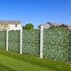 Option Ivy