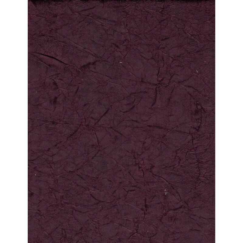 Copper Grove Sam Houston Taylor 8 Grommet Lined Window Curtain Panel
