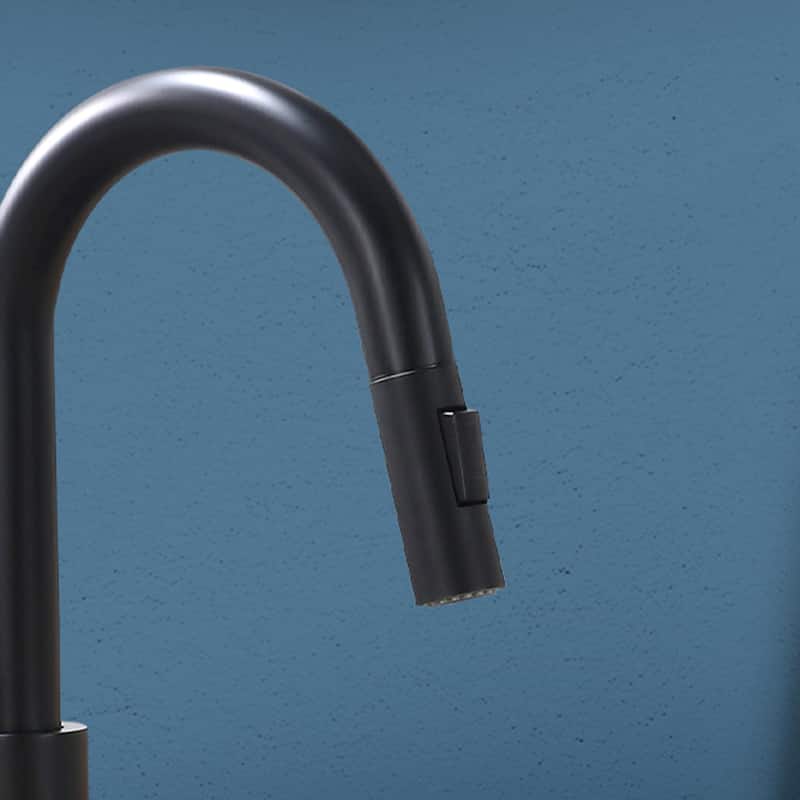 Topcraft Single Handle Stainless Steel Bar Faucet with Sprayer