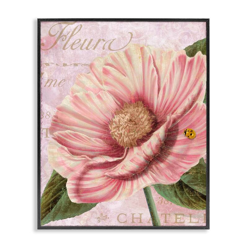 Stupell French Flower & Ladybug Framed Giclee Art Design By Sasha - 16 x 20 - Black