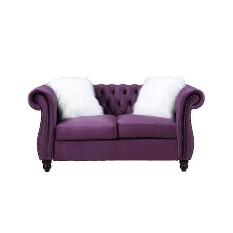 Contemporary Style Thotton Loveseat w/2 Pillows in Velvet