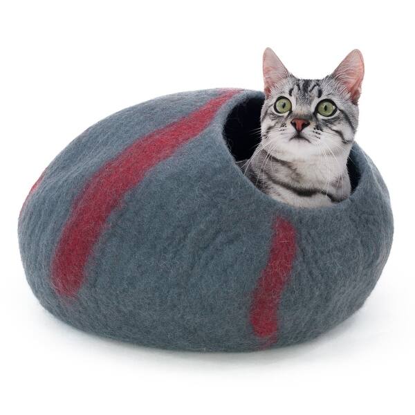 cat pod