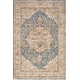preview thumbnail 6 of 32, Nourison Petra Indoor only Persian Area Rug