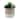 Artificial Plant Succulent Mix in Two Tone Ceramic Planter,Cream/Beige - ONE-SIZE