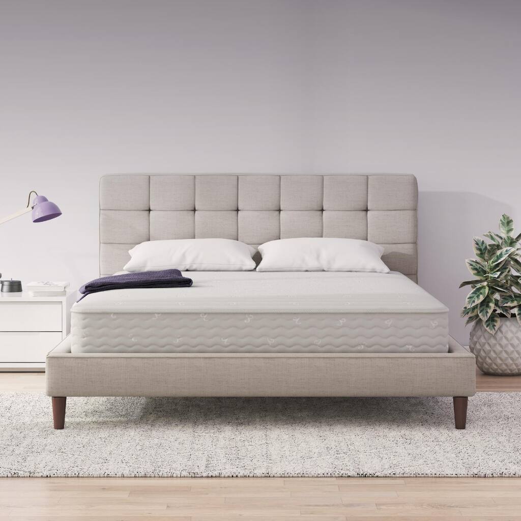 Signature Sleep Contour 8" Reversible Pocket Spring Mattress