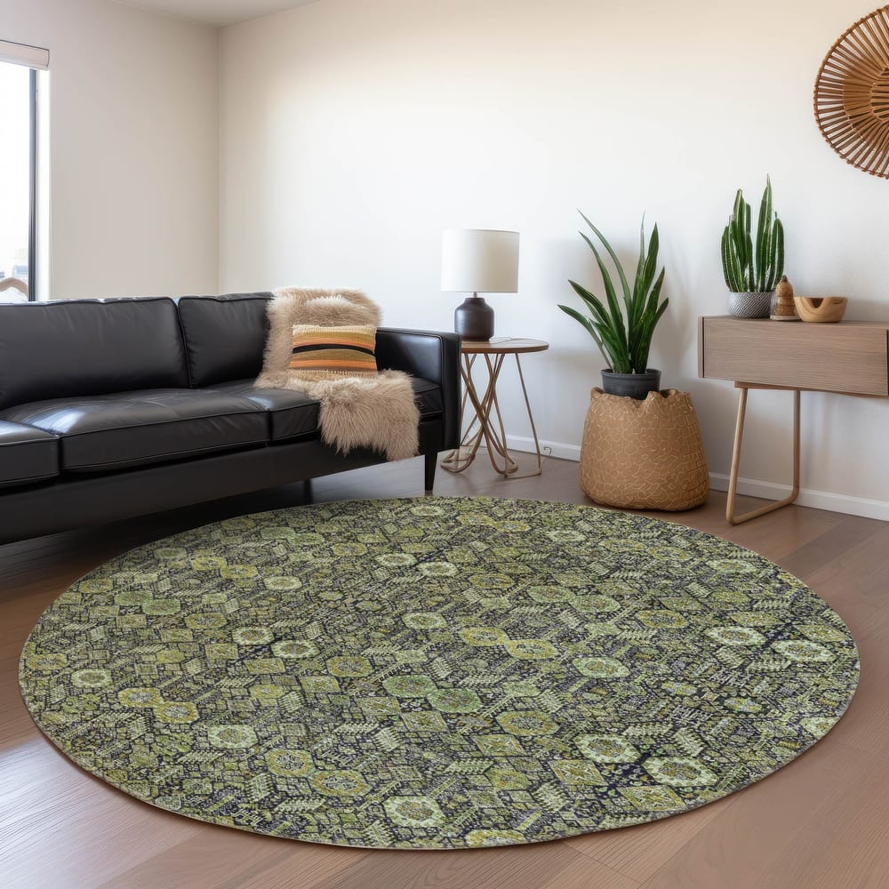 Machine Washable Indoor/ Outdoor Traditional Boho Chantille Rug