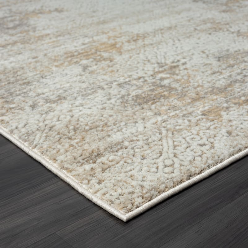 Bailey Transitional Distressed Gray/Beige Performance Indoor Area Rug by Sevita