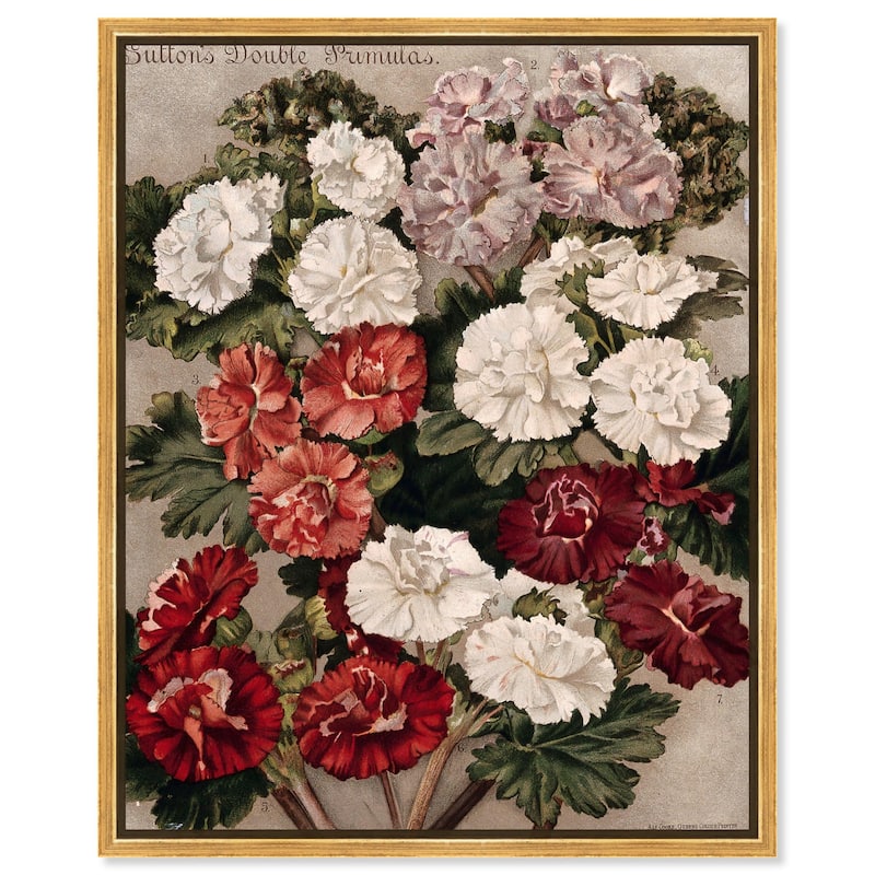 Flowered Primulas Canvas by Art Remedy - Gold - 16" x 20"
