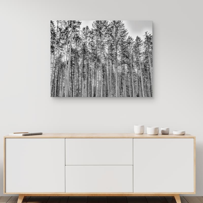 The Forest by Sossi Madzounian Canvas Art Print