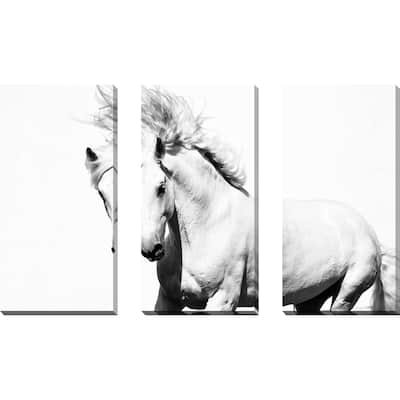"Horse Running" 3 Piece Set on Canvas