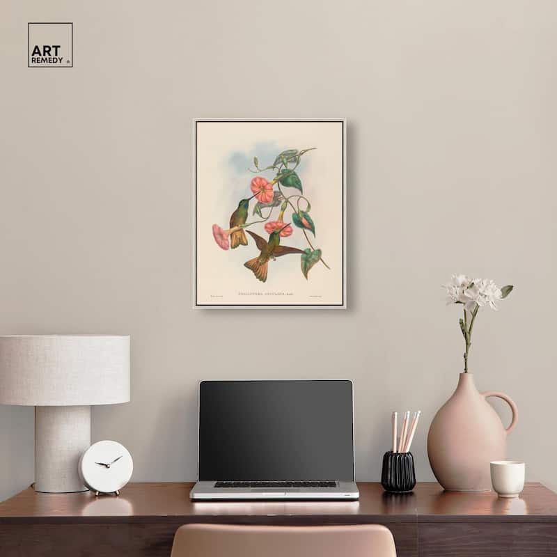 Gould's Hummingbirds Canvas by Art Remedy