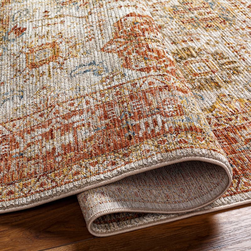 Aiyla Traditional Medallion Area Rug