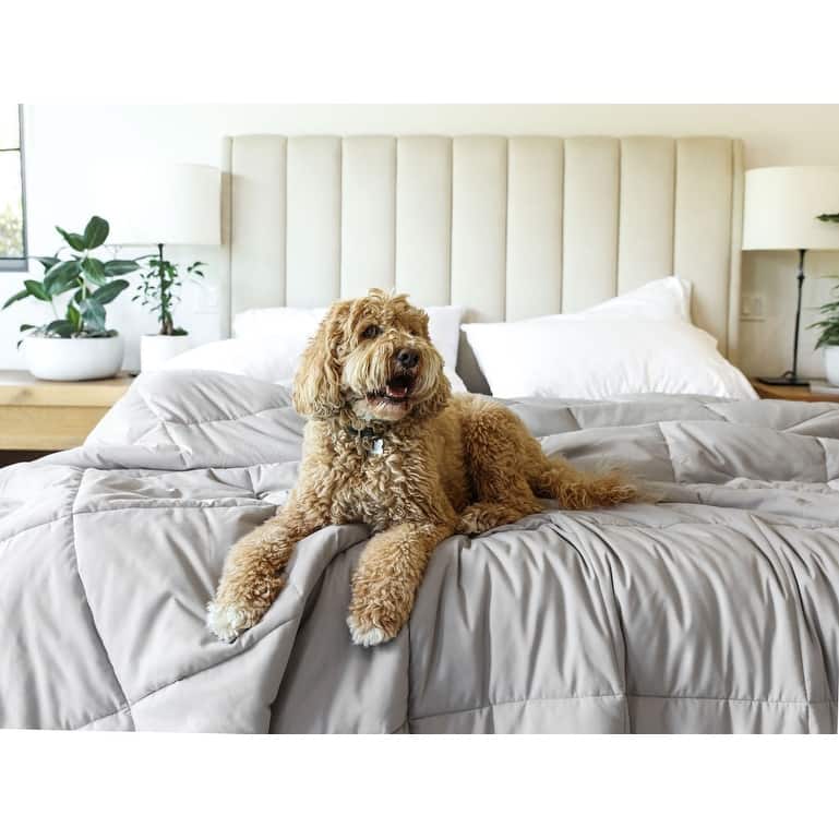 Jennifer Adams Lux Down Alternative Duvet Insert / Comforter