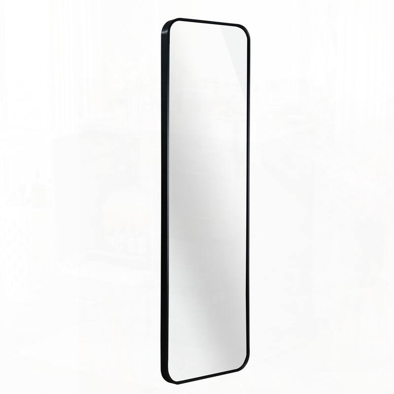 47 x 14IN Door mirror